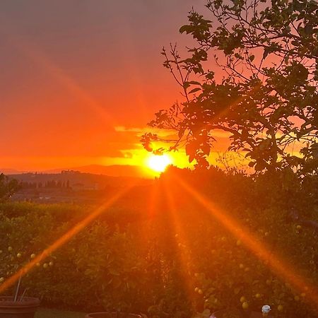 Villa Giotto Florence Pozzolatico エクステリア 写真