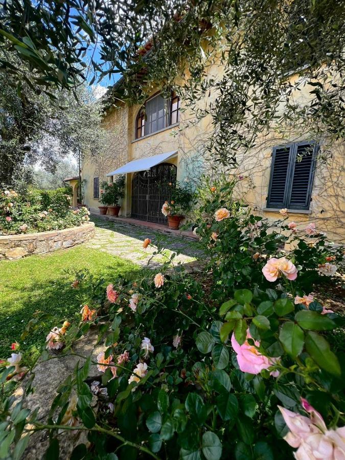 Villa Giotto Florence Pozzolatico エクステリア 写真