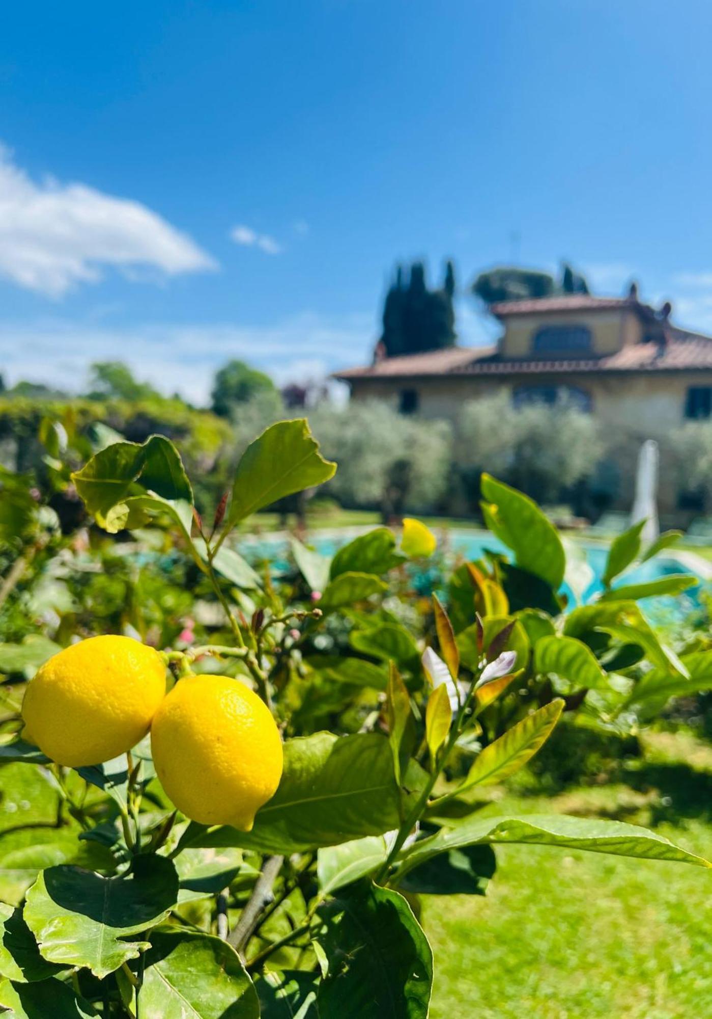 Villa Giotto Florence Pozzolatico エクステリア 写真