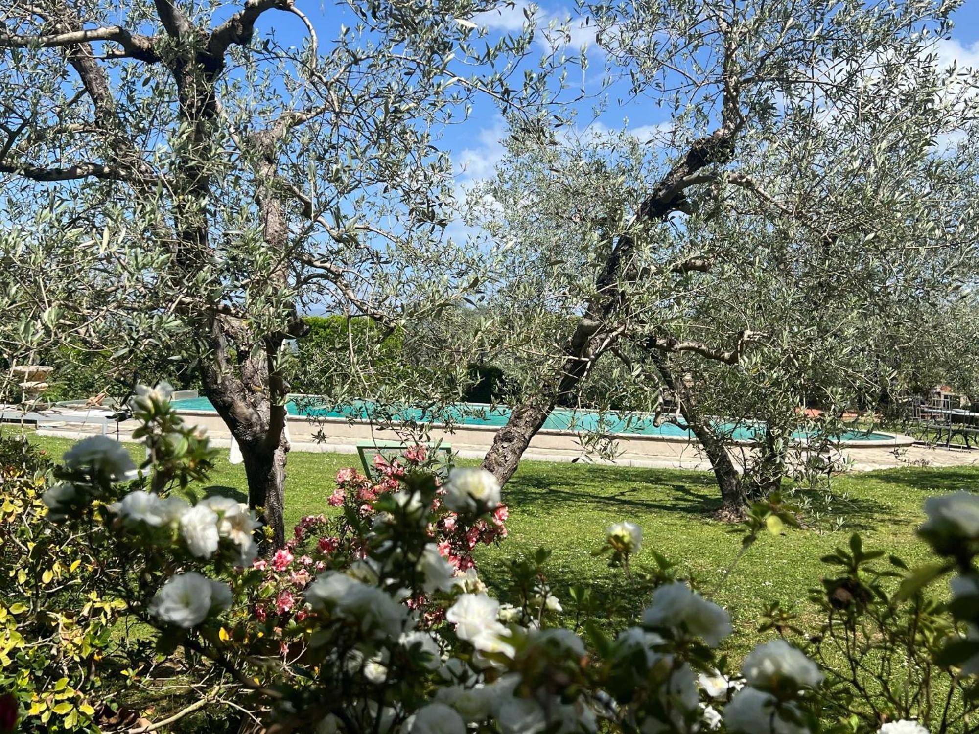 Villa Giotto Florence Pozzolatico エクステリア 写真
