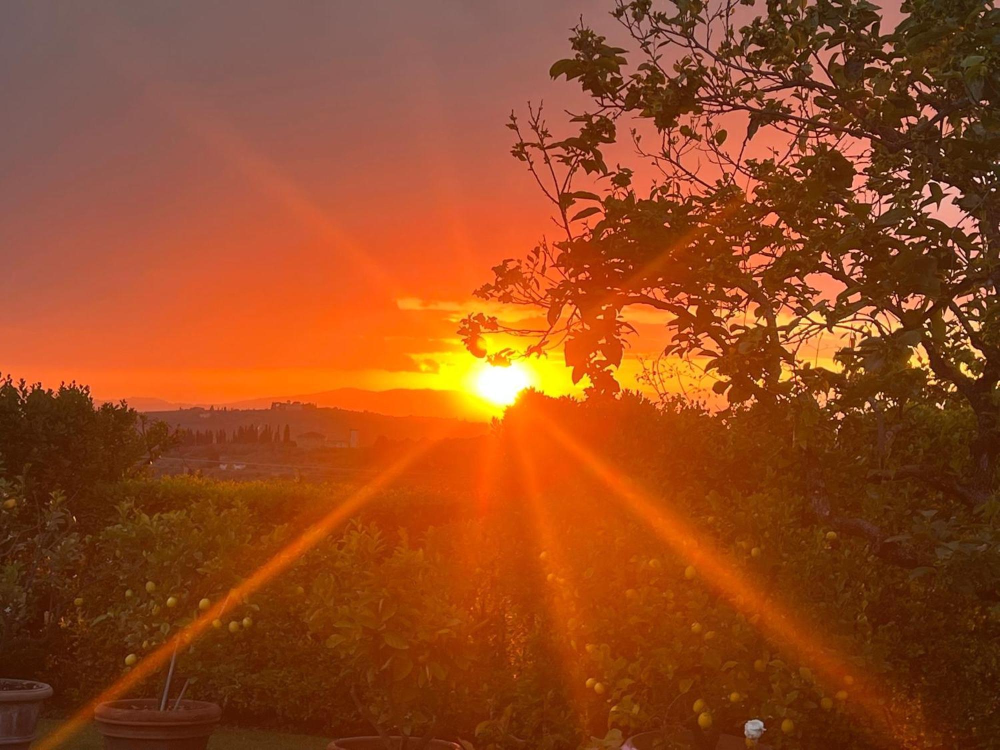 Villa Giotto Florence Pozzolatico エクステリア 写真