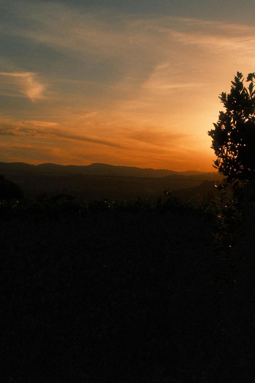 Villa Giotto Florence Pozzolatico エクステリア 写真